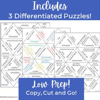 Cells Organelles Activity Vocabulary Tarsia Puzzle By Hoffman Science