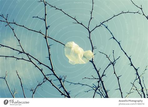 Woman Wrapped In Polyethylene Sitting On Floor A Royalty Free Stock