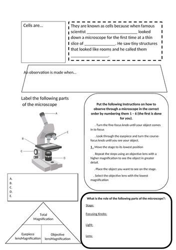 Magnification Worksheet KS3 introduction to Magnification | Teaching Resources