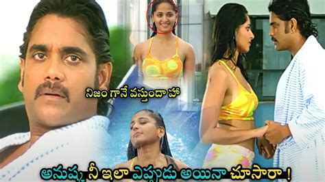 Nagarjuna Stunning Looks At Anushka Shetty Interesting Scene Movie