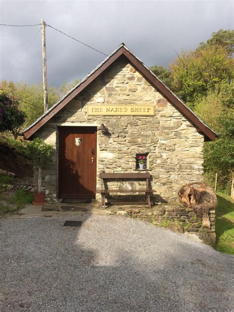 B B The Naked Sheep Ireland