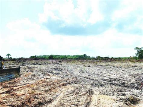 1st Phase Of Works Commences At Silica City Guyana Times