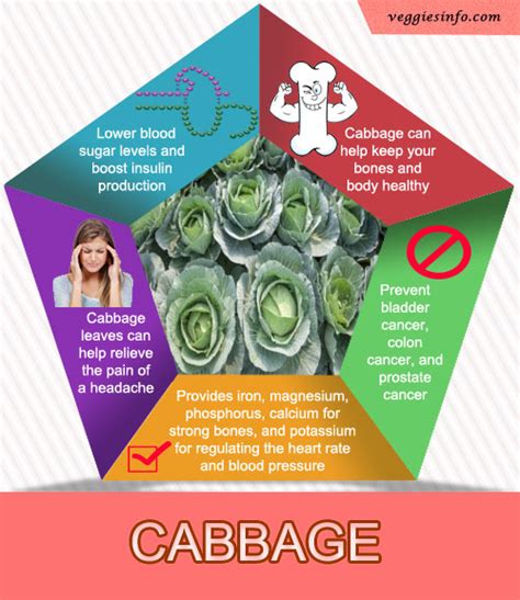 Cabbage Uses | Nutrition Values | Benefits | Veggies Info