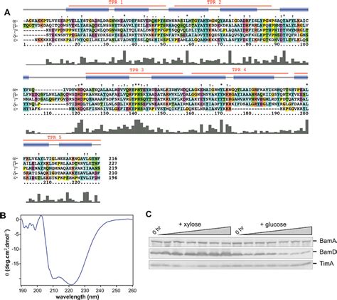 BamD Is An Essential Component Of The BAM Complex In C Crescentus A