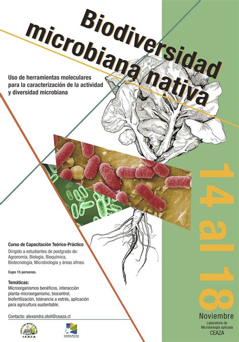 Curso Teórico Práctico Diversidad Microbiana Somich Sociedad De Microbiogía De Chile