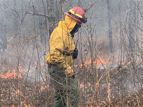 Sandy Hollow WMA Prescribed Burn Allows LDWF to Manage For Optimum