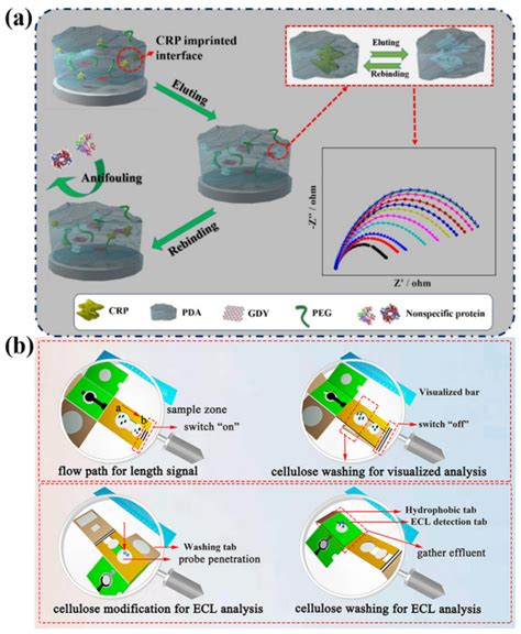 Chemosensors Free Full Text Recent Advances In Functionalization