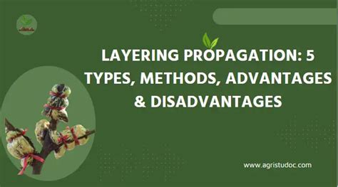 Layering Propagation : 5 Types, Advantages & Disadvantages