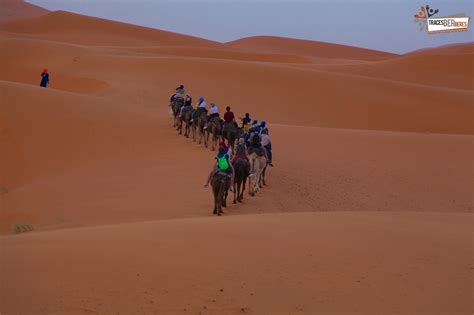 Excursion Désert à Départ de Marrakech vers Merzouga