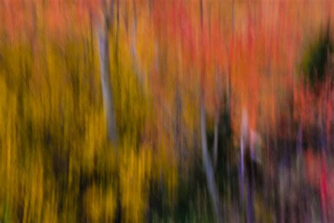 Fall Photography: Tips For Autumn Foliage And Landscapes