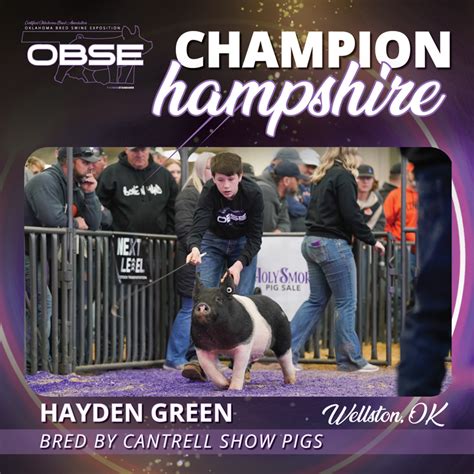 Oklahoma Bred Swine Exposition Champion Barrows The Pulse