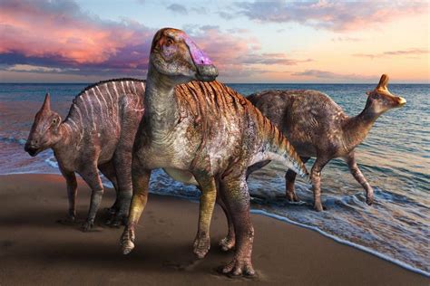 Yamatosaurus El Nuevo Dinosaurio Pico De Pato Descubierto En Japón