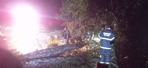 Queda De Rvore E Deslizamento De Terra Interditam A Sc O Jornaleiro