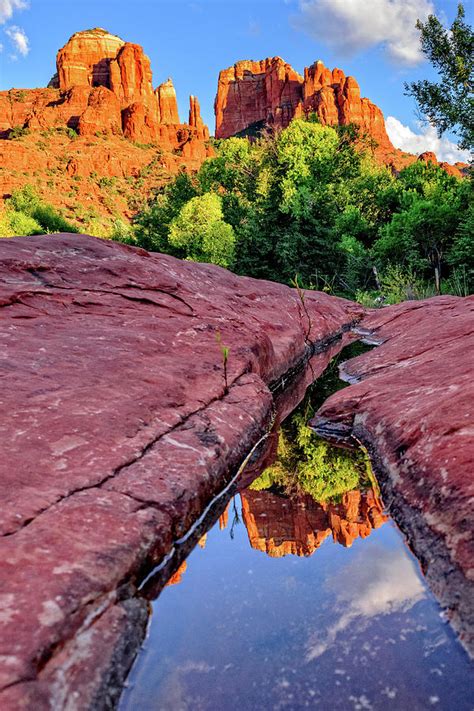 Reflection On Cathedral Rock Photograph By Jeremie Doucette Fine Art