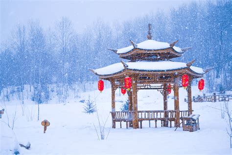 世界雪乡哪家强 东北雪乡最漂亮 网友 东北雪乡最坑人才对 雪乡 网友 旅游 新浪新闻