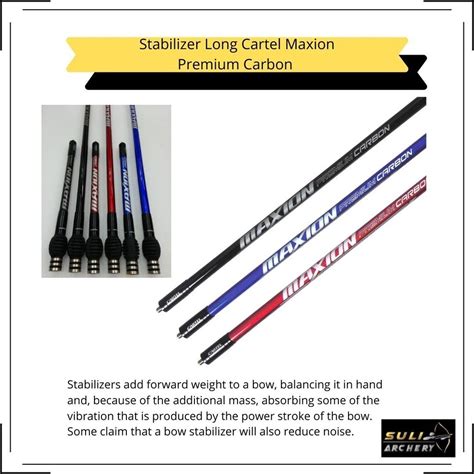 Long Stabilizer Cartel Maxion Premium Carbon Shopee Malaysia