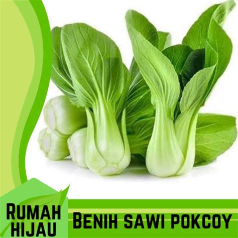 Jual 100 Benih Biji Sawi Pokcoy Pakcoy Bokcoy Hijau Repack Shopee