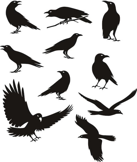 Premium Vector | Crow silhouette