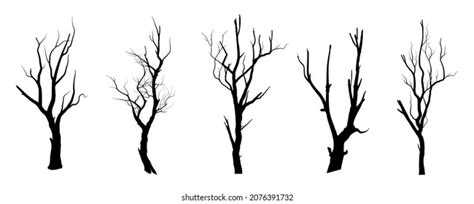 Black Branch Tree Naked Trees Silhouettes Stock Vector Royalty Free