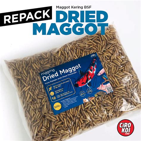 Jual Repack Dried Maggot Bsf Kering Tinggi Protein Magot Magalarva