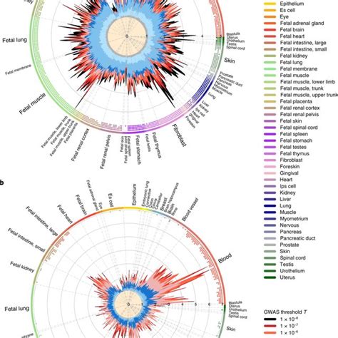 Multiple Annotation Enrichment Of Genome Wide Association Analysis