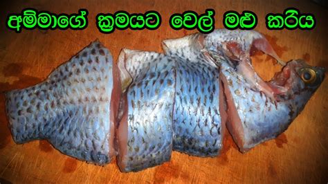 වෙල් මාළු කරිය හදමු How To Make Fish Curry Village Style Fish Curry