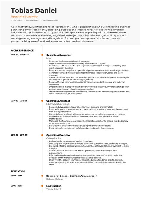 Supervisor Cv Examples And Templates Visualcv