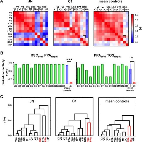 Functional Connectivity A Temporal Correlation Matrix For J N C