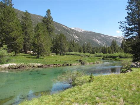 Weekend Wanderluster: Lyell Canyon (Yosemite National Park, California)