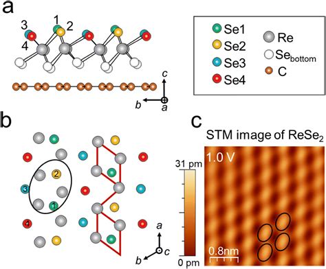 Direct Characterization Of Intrinsic Defects In Monolayer ReSe 2 On