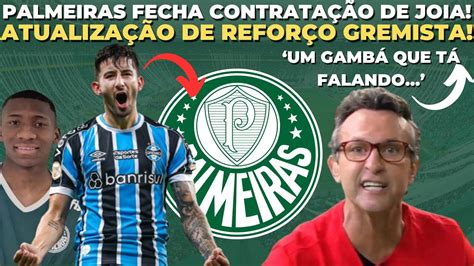 Palmeiras Fecha Contrata O De Joia Promissora Informa O Do Sul Anima