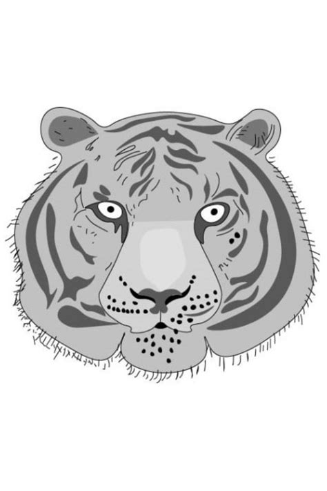 Tiger face drawing | Tiger face drawing, Face drawing, Tiger drawing