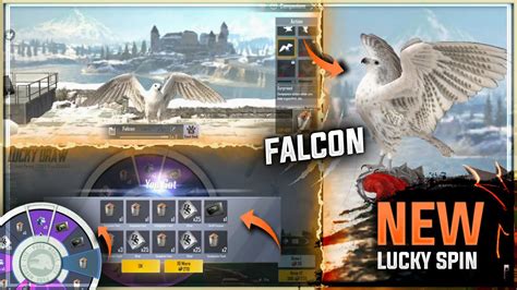 HOW TO UNLOCK COMPANION FALCON IN PUBG MOBILE LITE COMPANION EVENT