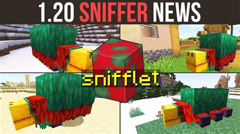 Minecraft 1 20 THE SNIFFER Unique Decorative Plants YouTube