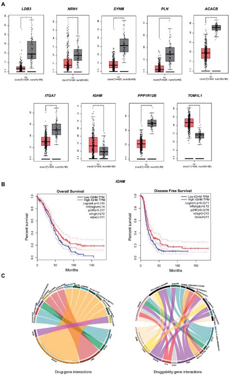 A Significant Expression Of Nine Degs With Ov Built In Tcga Gtex