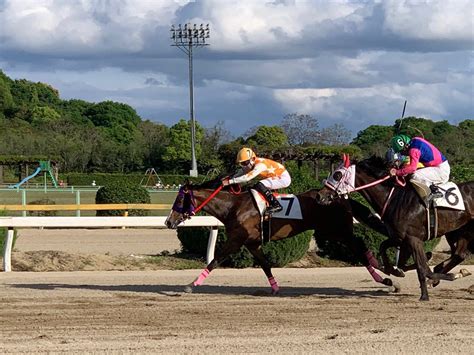 626日中央競馬予想 主に地方競馬の予想＋株の記録＋旅のブログ