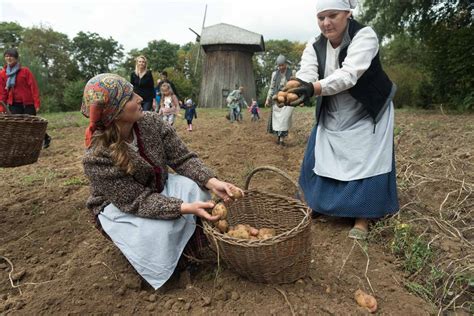 Wykopki Kartoflane Wrze Nia Fotorelacja Muzeum Wsi Lubelskiej