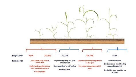 Some Top Tips For Making First Class Silage Agrilandie