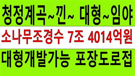 청정계곡낀~ 대형임야~ 송이산 경사완만 건축개발조건완벽 소나무조경수7조4014억원 숲야영장캠핑교회탠트고기집2433억원 미자립