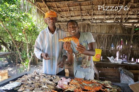 Unescursione Da Watamu Ecco Il Safari Blu Montagna Di Viaggi