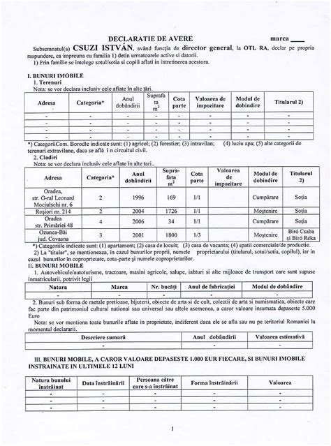 Declaratie Model Ce Trebuie Sa Stii Si Cum O Completeziarticol Hot