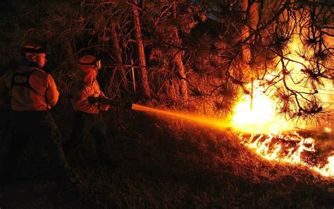 Verheerende Waldbr Nde In Portugal