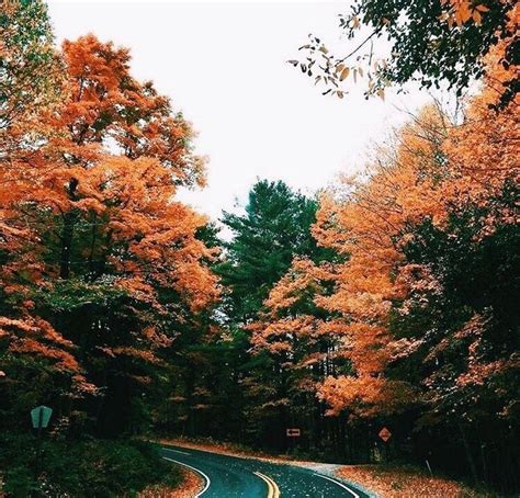 Vsco Foreverspookyseason Autumn Aesthetic Fall Pictures Autumn