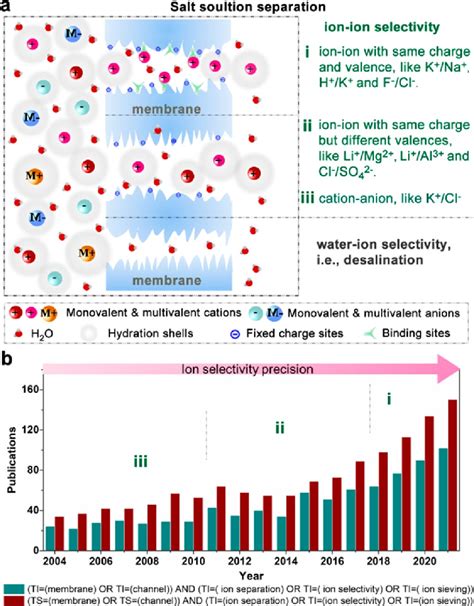 A Schematic For Ion Selectivity By Nanoporous Membranes Salt