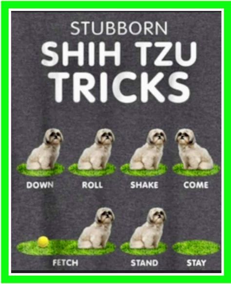 Pin By Dawn Board On Cute Critters In Shih Tzu Puppy Training