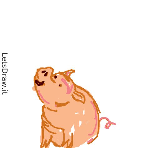 draw swine mkonyhapng letsdrawit