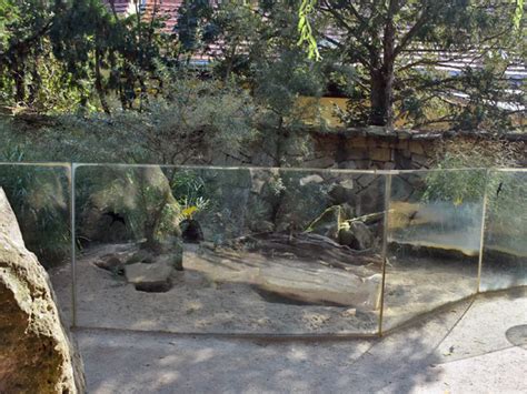 Fennec Fox Exhibit In Zoologicka Zahrada Praha