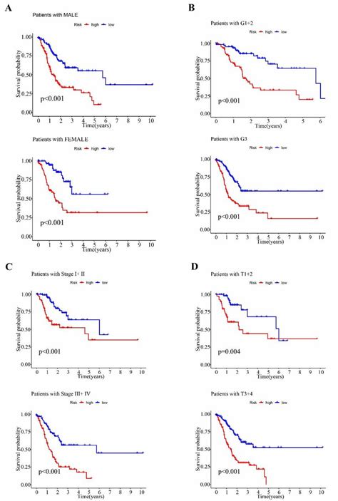 Kaplan Meier Curves Of Survival Outcomes For The Two Risk Groups In The Download Scientific