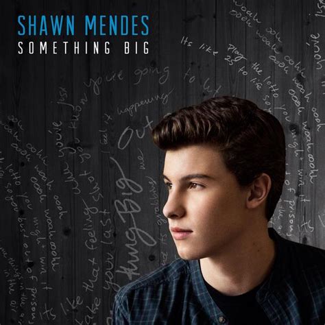 Shawn Mendes First Single