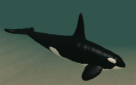 Orca Cenozoic Survival Roblox Wiki Fandom